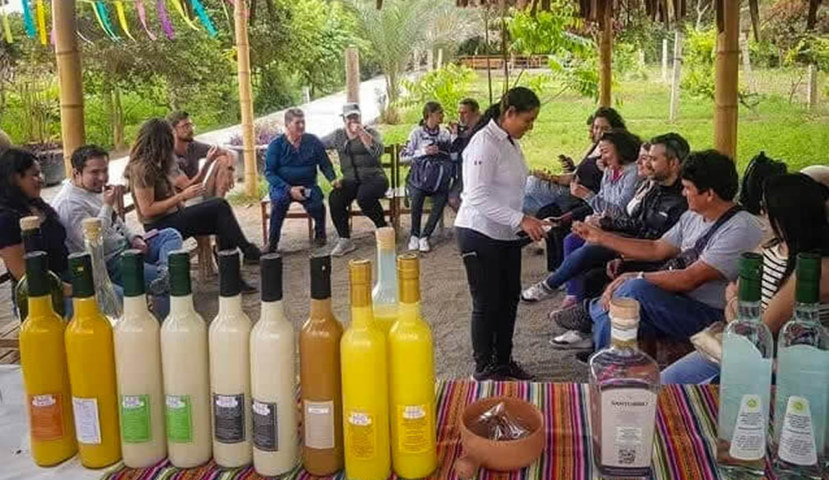 city-tours-paracas-ica3