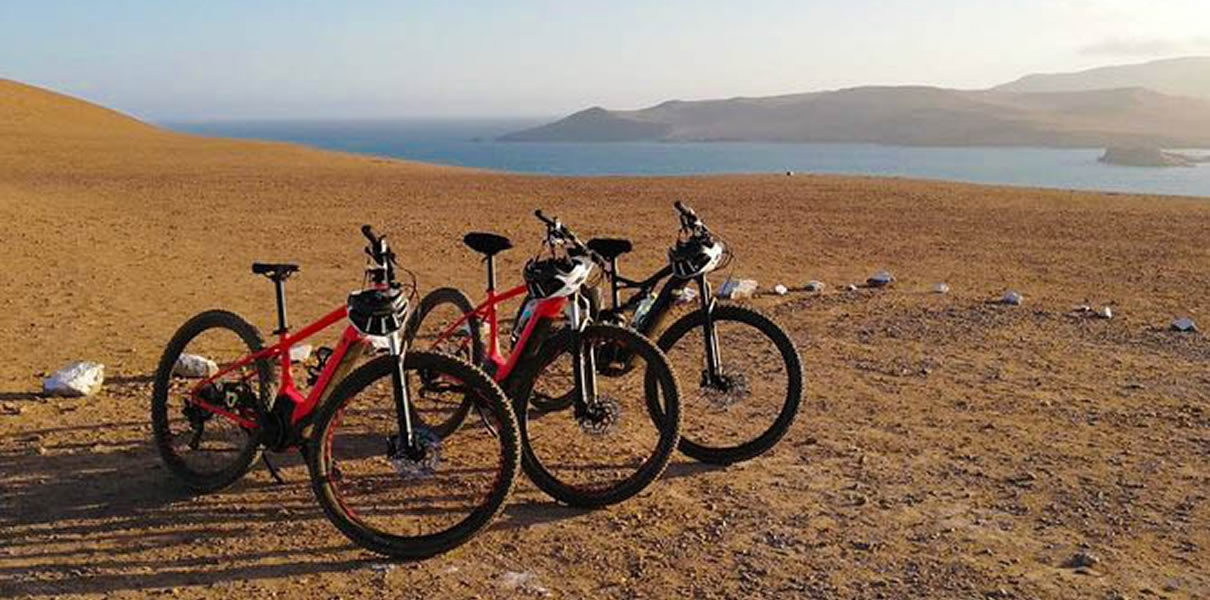 tours-reserva-nacional-de-paracas-en-bicicleta1