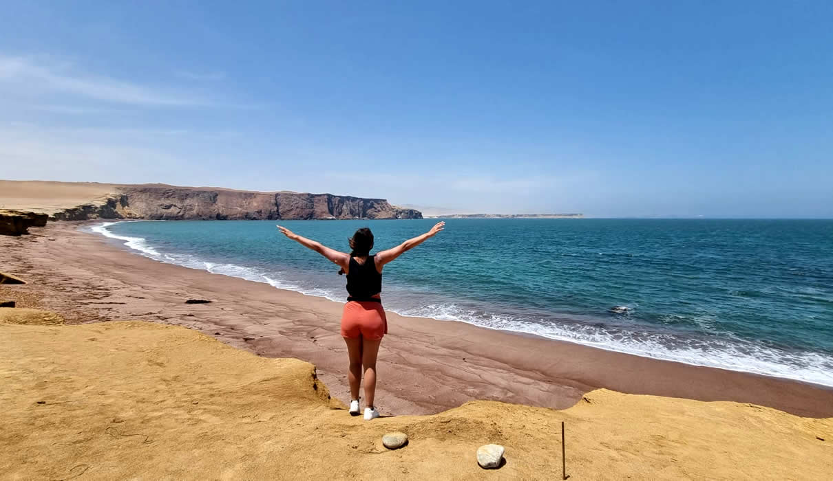 tours-reserva-nacional-de-paracas-en-mini-buggys2