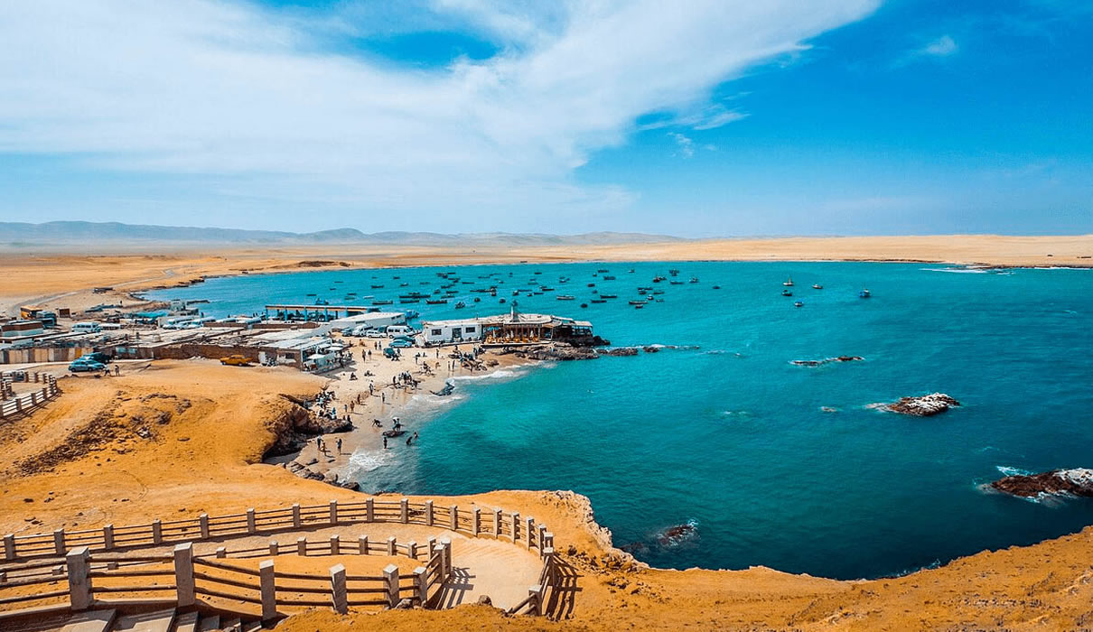 tours-reserva-nacional-de-paracas3